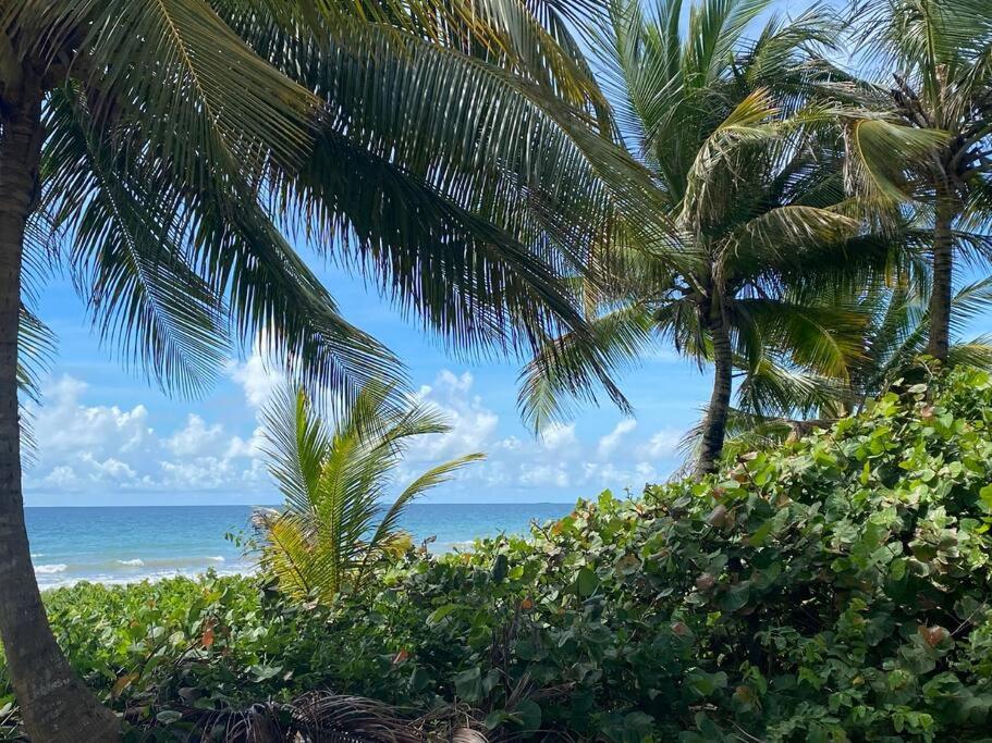 הוילה Punta Santiago Ocean Breeze מראה חיצוני תמונה
